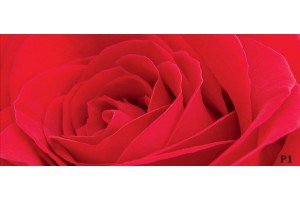 Фототапети голяма червена роза 2